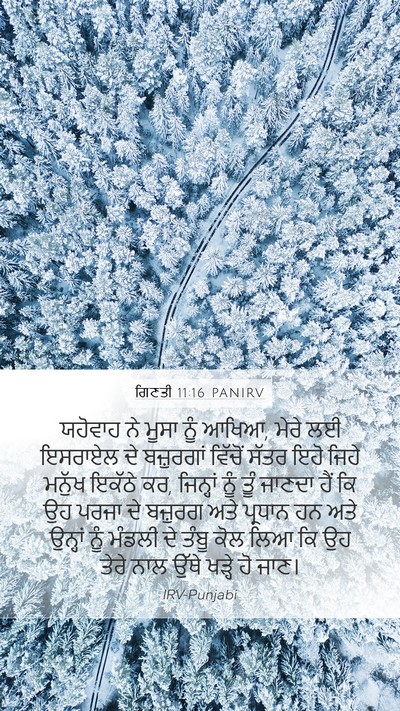 ਗਿਣਤੀ 11:16 PANIRV Bible Verse Image