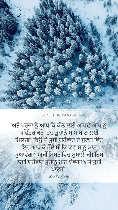 ਗਿਣਤੀ 11:18 PANIRV Bible Verse Image