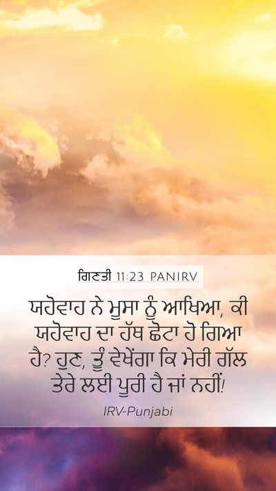 ਗਿਣਤੀ 11:23 PANIRV Bible Verse Image