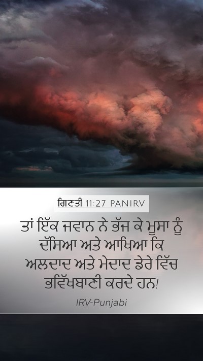 ਗਿਣਤੀ 11:27 PANIRV Mobile Phone Wallpaper - ਤਾਂ ਇੱਕ ਜਵਾਨ ਨੇ ਭੱਜ - Mobile Bible Verse Wallpaper