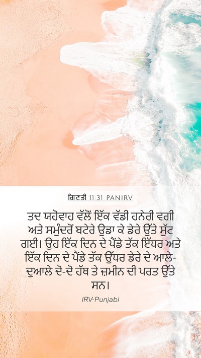 ਗਿਣਤੀ 11:31 PANIRV Mobile Phone Wallpaper - ਤਦ ਯਹੋਵਾਹ ਵੱਲੋਂ - Mobile Bible Verse Wallpaper