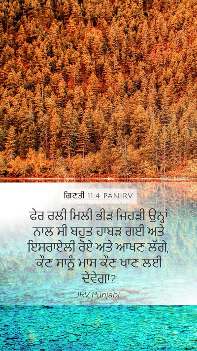 ਗਿਣਤੀ 11:4 PANIRV Bible Verse Image