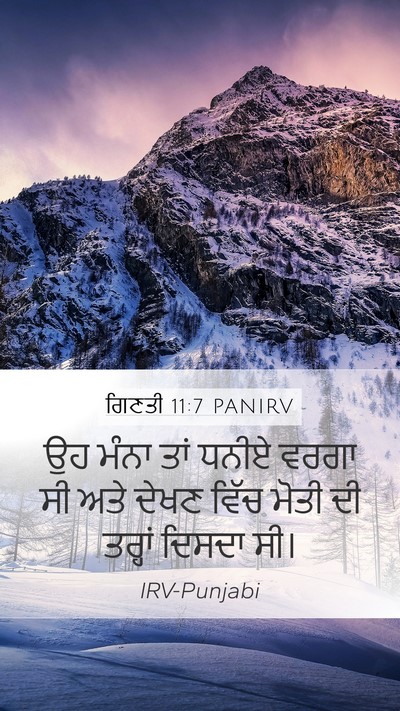 ਗਿਣਤੀ 11:7 PANIRV Mobile Phone Wallpaper - ਉਹ ਮੰਨਾ ਤਾਂ ਧਨੀਏ - Mobile Bible Verse Wallpaper
