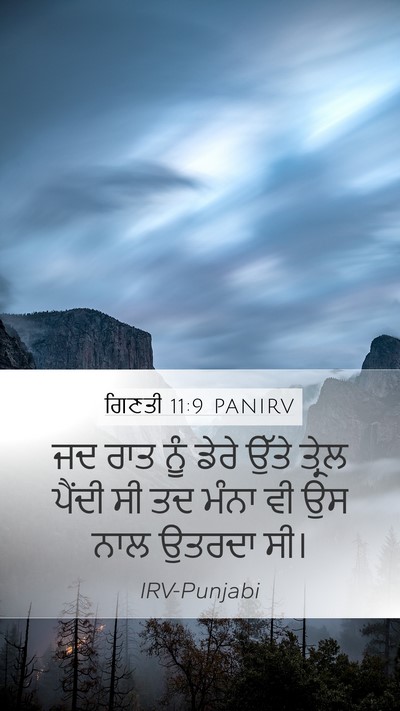 ਗਿਣਤੀ 11:9 PANIRV Mobile Phone Wallpaper - ਜਦ ਰਾਤ ਨੂੰ ਡੇਰੇ - Mobile Bible Verse Wallpaper