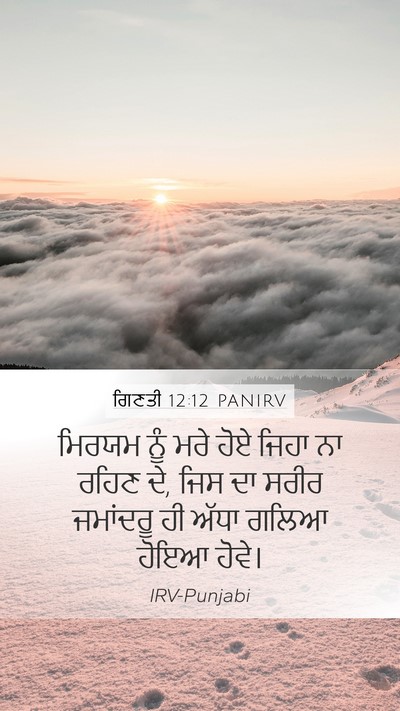 ਗਿਣਤੀ 12:12 PANIRV Mobile Phone Wallpaper - ਮਿਰਯਮ ਨੂੰ ਮਰੇ ਹੋਏ - Mobile Bible Verse Wallpaper
