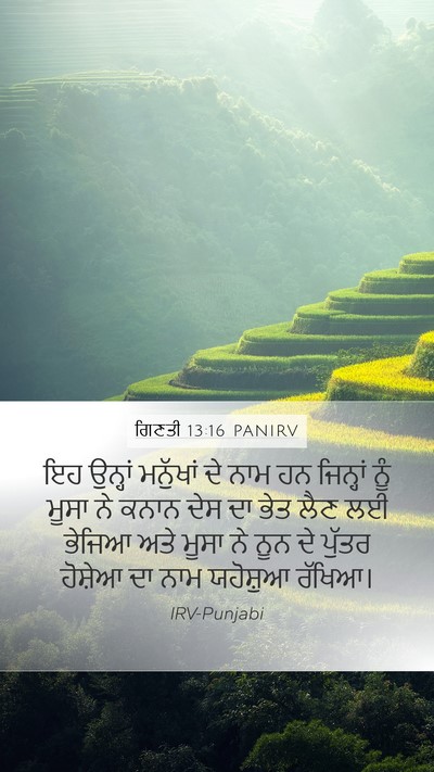 ਗਿਣਤੀ 13:16 PANIRV Bible Verse Image