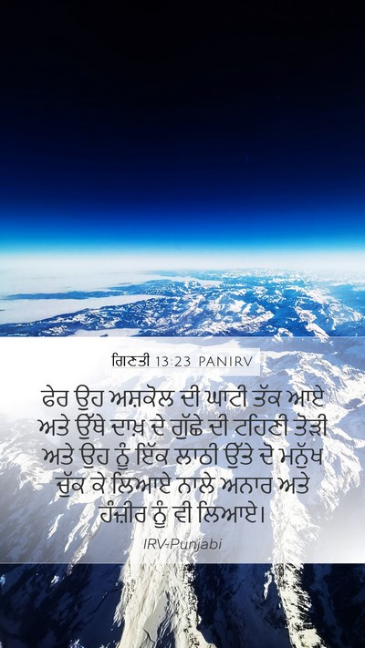 ਗਿਣਤੀ 13:23 PANIRV Bible Verse Image