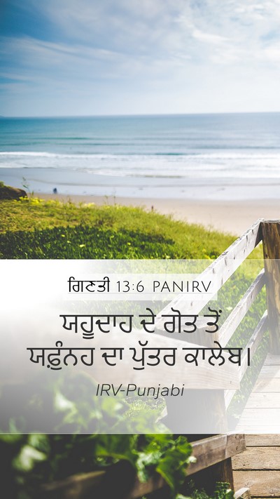 ਗਿਣਤੀ 13:6 PANIRV Bible Verse Image