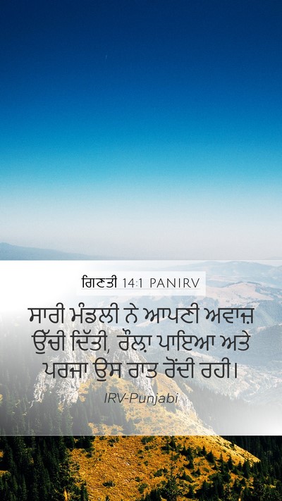 ਗਿਣਤੀ 14:1 PANIRV Mobile Phone Wallpaper - ਸਾਰੀ ਮੰਡਲੀ ਨੇ ਆਪਣੀ - Mobile Bible Verse Wallpaper