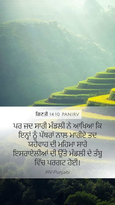 ਗਿਣਤੀ 14:10 PANIRV Mobile Phone Wallpaper - ਪਰ ਜਦ ਸਾਰੀ ਮੰਡਲੀ ਨੇ - Mobile Bible Verse Wallpaper