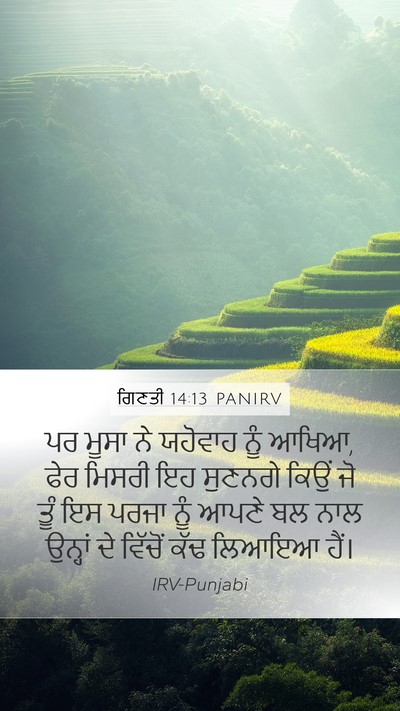 ਗਿਣਤੀ 14:13 PANIRV Bible Verse Image