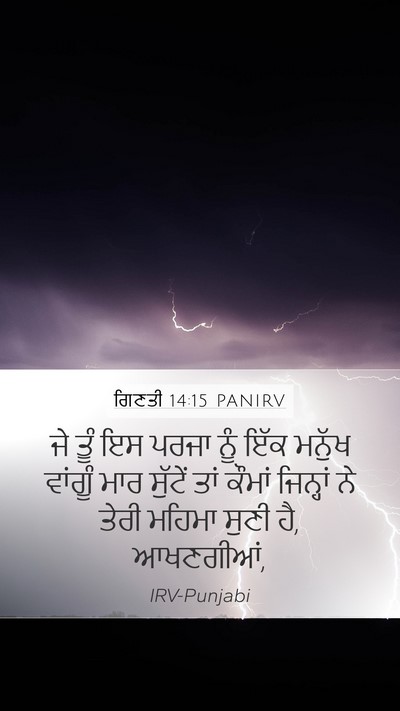 ਗਿਣਤੀ 14:15 PANIRV Bible Verse Image