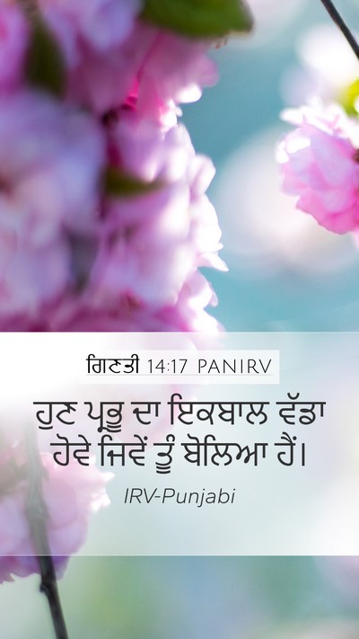 ਗਿਣਤੀ 14:17 PANIRV Mobile Phone Wallpaper - ਹੁਣ ਪ੍ਰਭੂ ਦਾ ਇਕਬਾਲ - Mobile Bible Verse Wallpaper