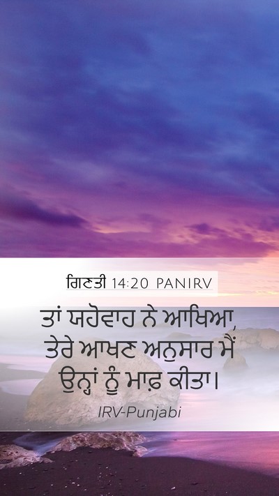 ਗਿਣਤੀ 14:20 PANIRV Bible Verse Image