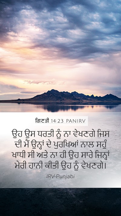 ਗਿਣਤੀ 14:23 PANIRV Bible Verse Image