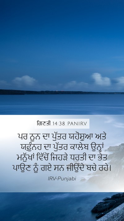 ਗਿਣਤੀ 14:38 PANIRV Bible Verse Image