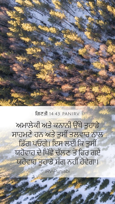 ਗਿਣਤੀ 14:43 PANIRV Bible Verse Image