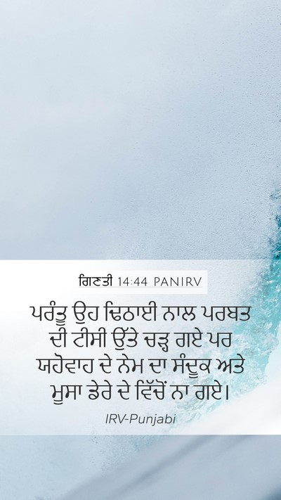ਗਿਣਤੀ 14:44 PANIRV Bible Verse Image