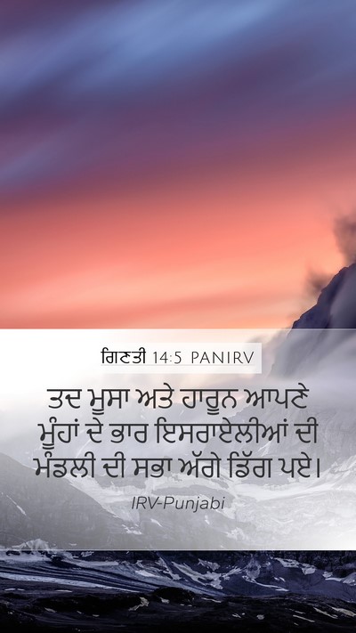 ਗਿਣਤੀ 14:5 PANIRV Bible Verse Image