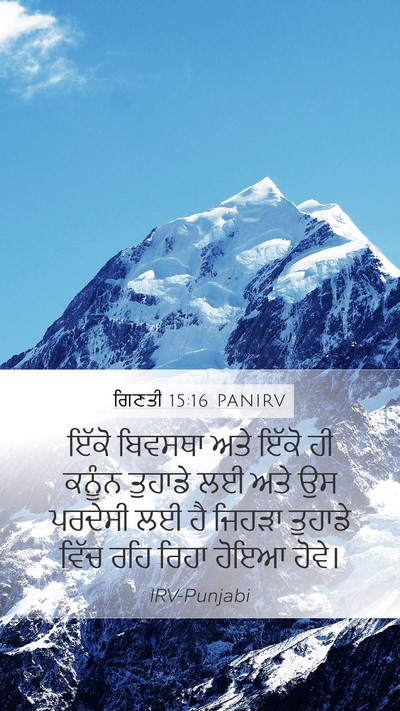 ਗਿਣਤੀ 15:16 PANIRV Bible Verse Image