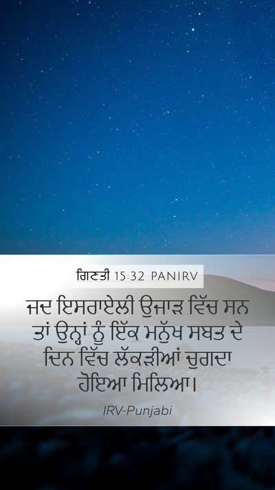 ਗਿਣਤੀ 15:32 PANIRV Bible Verse Image