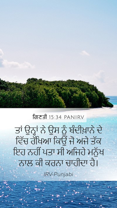ਗਿਣਤੀ 15:34 PANIRV Bible Verse Image