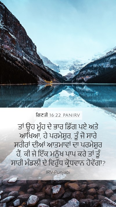 ਗਿਣਤੀ 16:22 PANIRV Bible Verse Image