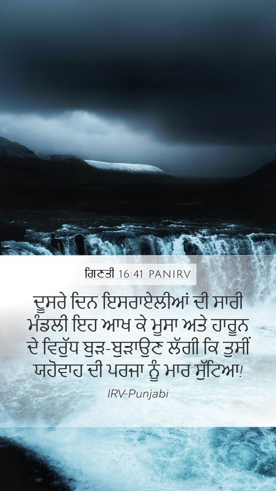 ਗਿਣਤੀ 16:41 PANIRV Bible Verse Image