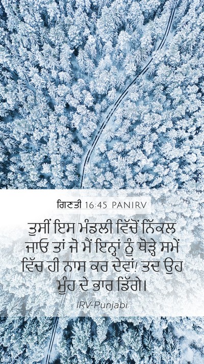 ਗਿਣਤੀ 16:45 PANIRV Bible Verse Image