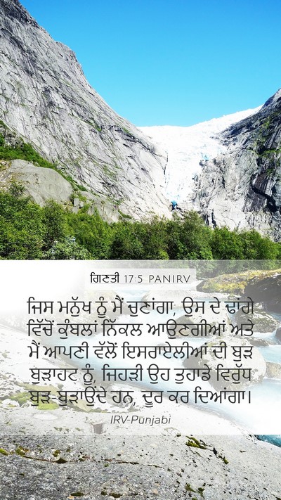 ਗਿਣਤੀ 17:5 PANIRV Bible Verse Image
