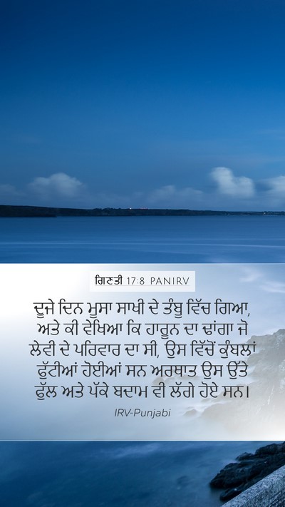 ਗਿਣਤੀ 17:8 PANIRV Bible Verse Image
