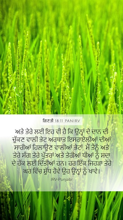 ਗਿਣਤੀ 18:11 PANIRV Mobile Phone Wallpaper - ਅਤੇ ਤੇਰੇ ਲਈ ਇਹ ਵੀ - Mobile Bible Verse Wallpaper