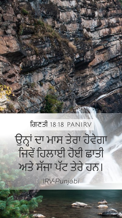 ਗਿਣਤੀ 18:18 PANIRV Bible Verse Image