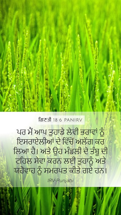 ਗਿਣਤੀ 18:6 PANIRV Bible Verse Image