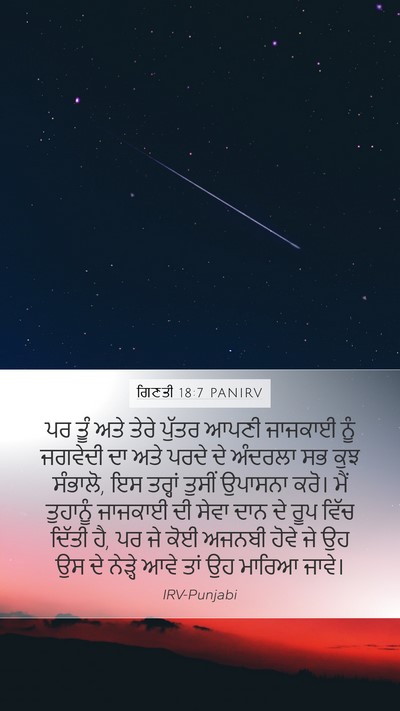 ਗਿਣਤੀ 18:7 PANIRV Bible Verse Image