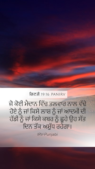 ਗਿਣਤੀ 19:16 PANIRV Bible Verse Image