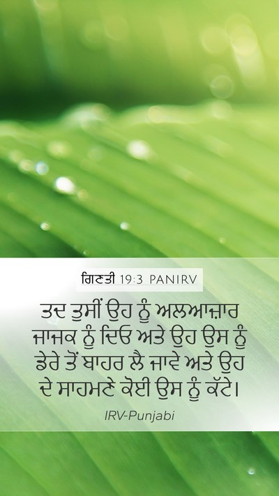 ਗਿਣਤੀ 19:3 PANIRV Mobile Phone Wallpaper - ਤਦ ਤੁਸੀਂ ਉਹ ਨੂੰ - Mobile Bible Verse Wallpaper