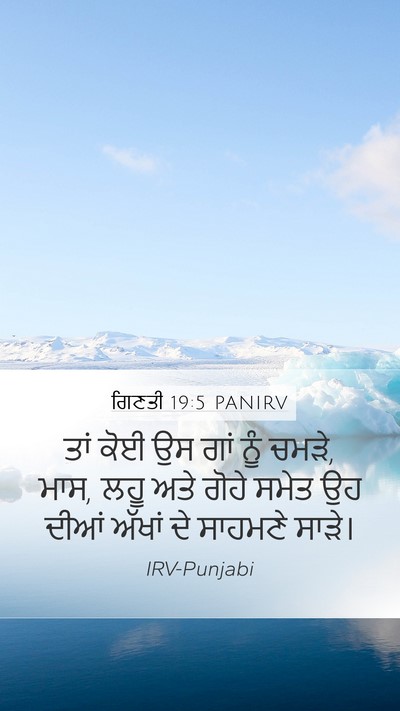 ਗਿਣਤੀ 19:5 PANIRV Mobile Phone Wallpaper - ਤਾਂ ਕੋਈ ਉਸ ਗਾਂ ਨੂੰ - Mobile Bible Verse Wallpaper