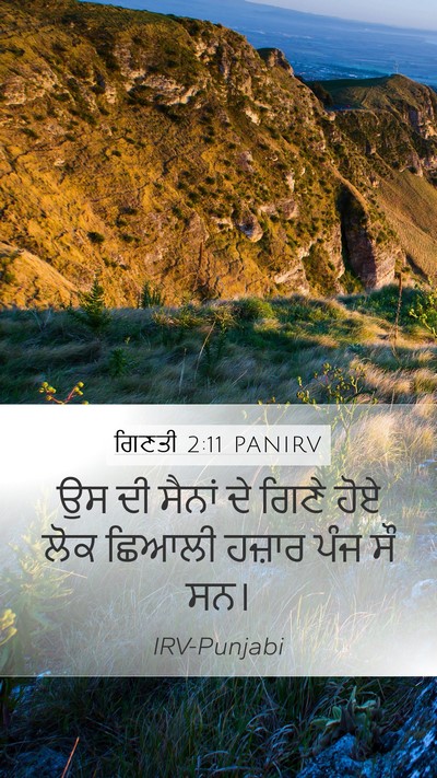 ਗਿਣਤੀ 2:11 PANIRV Bible Verse Image