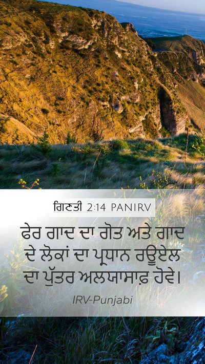 ਗਿਣਤੀ 2:14 PANIRV Bible Verse Image
