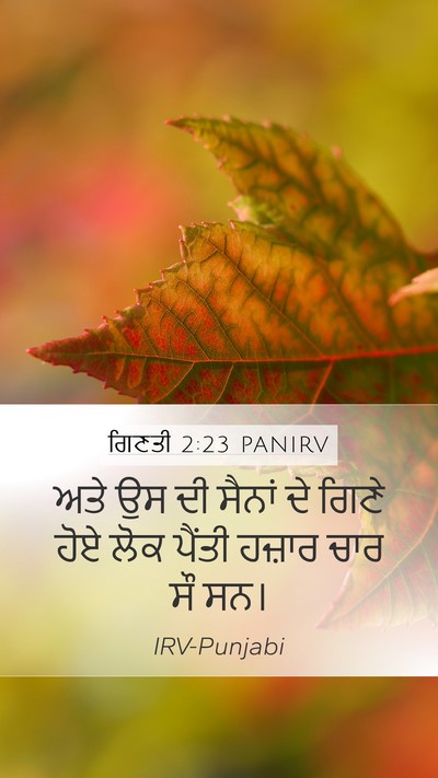 ਗਿਣਤੀ 2:23 PANIRV Mobile Phone Wallpaper - ਅਤੇ ਉਸ ਦੀ ਸੈਨਾਂ ਦੇ - Mobile Bible Verse Wallpaper