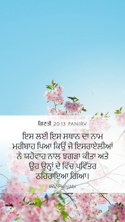 ਗਿਣਤੀ 20:13 PANIRV Bible Verse Image