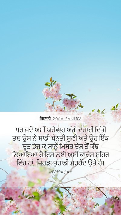 ਗਿਣਤੀ 20:16 PANIRV Bible Verse Image