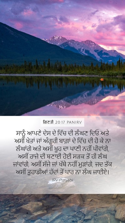 ਗਿਣਤੀ 20:17 PANIRV Bible Verse Image