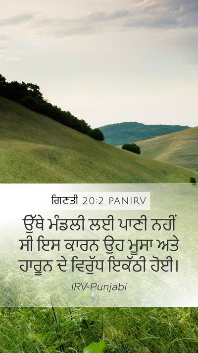 ਗਿਣਤੀ 20:2 PANIRV Bible Verse Image