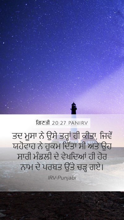 ਗਿਣਤੀ 20:27 PANIRV Mobile Phone Wallpaper - ਤਦ ਮੂਸਾ ਨੇ ਉਸੇ - Mobile Bible Verse Wallpaper