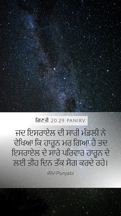 ਗਿਣਤੀ 20:29 PANIRV Bible Verse Image