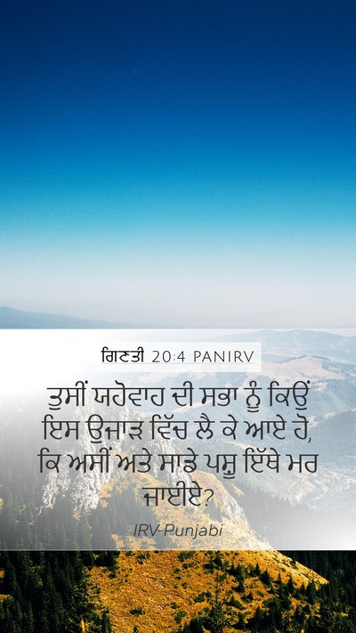 ਗਿਣਤੀ 20:4 PANIRV Bible Verse Image