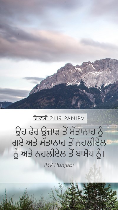 ਗਿਣਤੀ 21:19 PANIRV Bible Verse Image