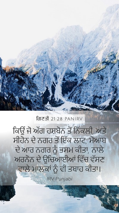 ਗਿਣਤੀ 21:28 PANIRV Bible Verse Image